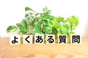 スタジオスクエア へよくいただくご質問